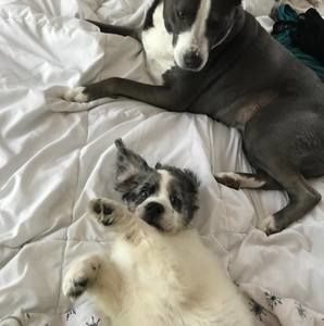 Meet your Posher, Matt